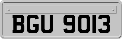 BGU9013