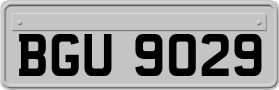 BGU9029