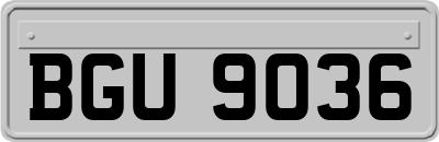 BGU9036