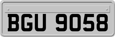 BGU9058