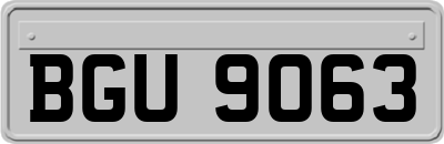 BGU9063