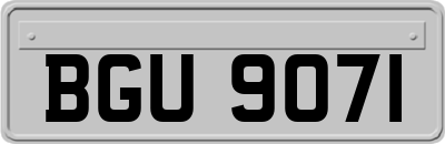 BGU9071