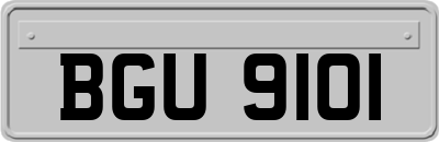 BGU9101