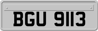 BGU9113