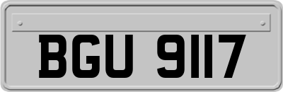 BGU9117