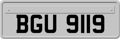BGU9119