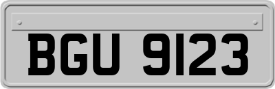 BGU9123