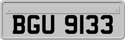 BGU9133