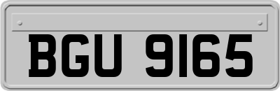 BGU9165