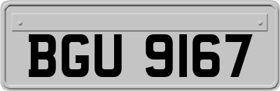BGU9167