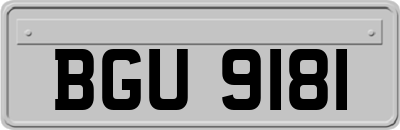BGU9181