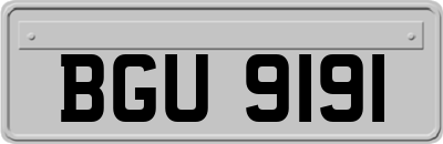 BGU9191