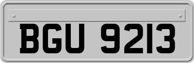 BGU9213