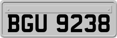 BGU9238