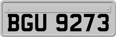 BGU9273