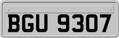 BGU9307