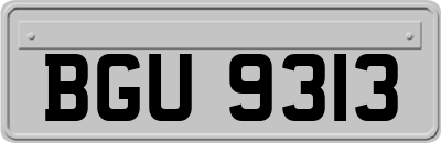 BGU9313