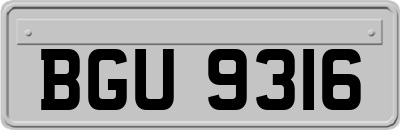 BGU9316