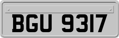 BGU9317
