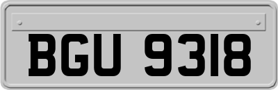 BGU9318