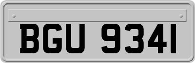 BGU9341