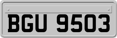 BGU9503