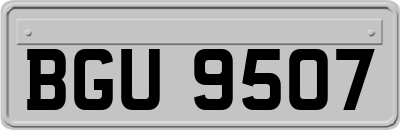 BGU9507