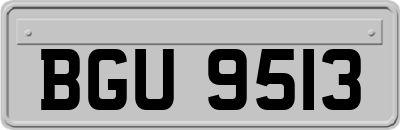 BGU9513