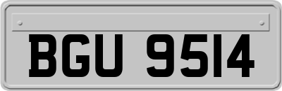 BGU9514