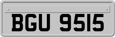 BGU9515