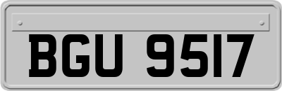 BGU9517