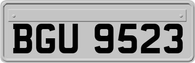 BGU9523