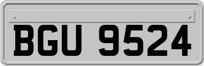 BGU9524