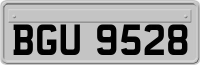 BGU9528