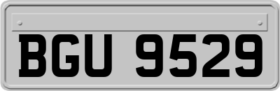 BGU9529