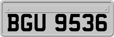 BGU9536