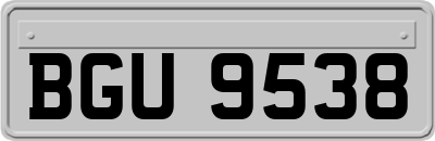 BGU9538