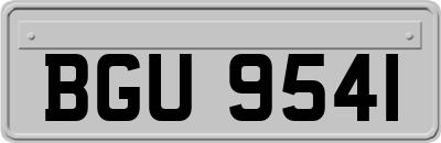 BGU9541