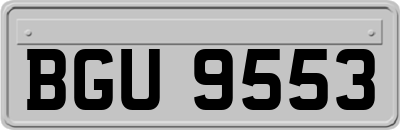 BGU9553