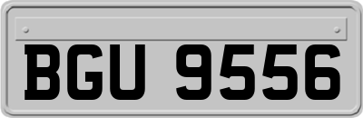 BGU9556