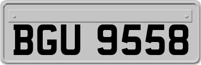 BGU9558