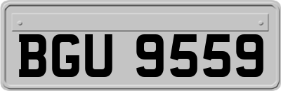 BGU9559