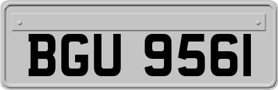 BGU9561