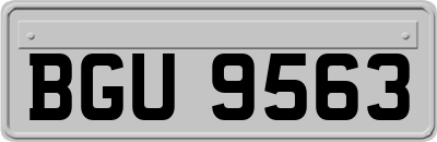 BGU9563