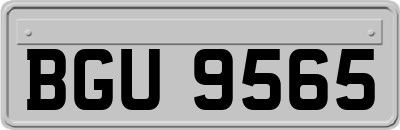 BGU9565