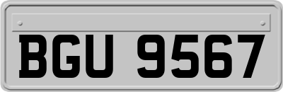 BGU9567