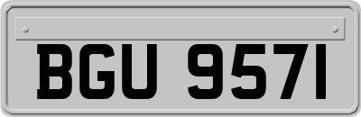 BGU9571
