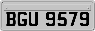 BGU9579