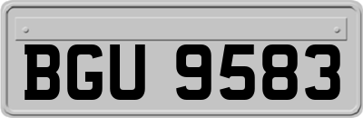 BGU9583