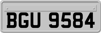 BGU9584